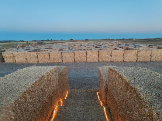The Haunted HEMP MAZE - Special Event 10/18/2025 9AM